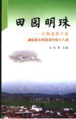 田园明珠  云南省昌宁县勐廷新农村建设经验十八条