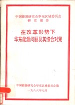 在改革形势下华东能源问题及其综合对策