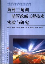 黄河三角洲暗管改碱工程技术实验与研究