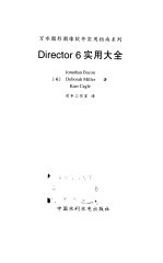 Director 6实用大全