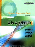 基因分子生物学  影印版