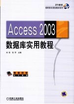 Access2003 数据库实用教程