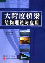 大跨度桥梁结构理论与应用