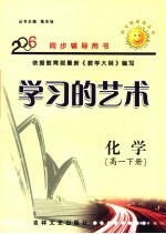 学习的艺术  高一化学  下