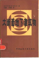 大断面地下建筑物  增订版