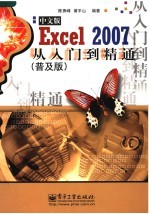 Excel 2007中文版从入门到精通  普及版