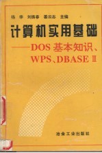 计算机实用基础 DOS基本知识、WPS、DBASE Ⅲ