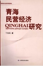 青海民营经济研究