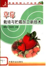 草莓栽培与贮藏加工新技术