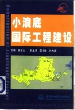 小浪底国际工程建设