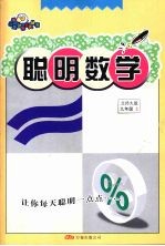 聪明数学  九年级  上  北师大版