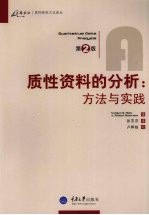 质性资料的分析  方法与实践  第2版