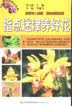 指点迷津养好花