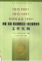 ISO 9001 ISO 14001 OHSAS 18001质量 环境 职业健康安全一体化管理体系文件实例