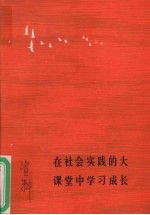 在社会实践的大课堂中学习成长