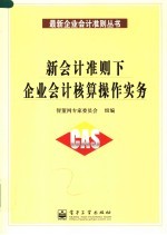 新会计准则下企业会计核算操作实务