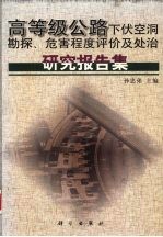 高等级公路下伏空洞勘探、危害程度评价及处治研究报告集