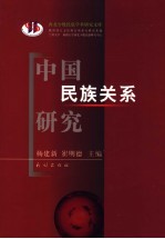 中国民族关系研究