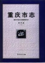 重庆市志  第4卷  上  工业综述志、煤炭工业志、电力工业志、天然气工业志、机械工业志、仪表工业志、电子工业志、化学工业志