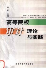 高等院校审计理论与实践