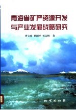 青海省矿产资源开发与产业发展战略研究