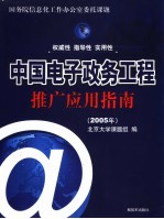 中国电子政务工程推广应用指南  2005年