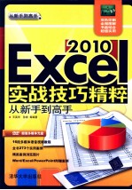 Excel 2010实战技巧精粹从新手到高手