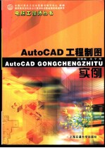 AutoCAD工程制图实例