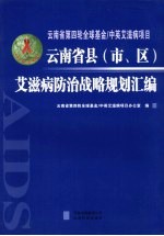 云南省县（市、区）艾滋病防治战略规划汇编