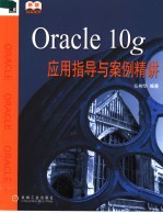 Oracle 10g应用指导与案例精讲