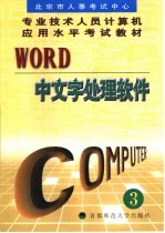 Word中文字处理软件