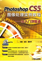 Photoshop CS5图像处理实例教程  从入门到精通