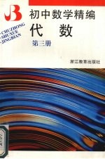 初中数学精编  代数