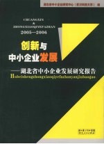 创新与中小企业发展：湖北省中小企业发展研究报告  2005-2006