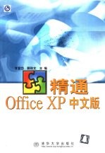 精通Office XP中文版