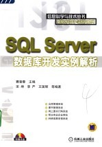 SQL Server数据库开发实例解析