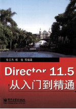 Director 11.5从入门到精通