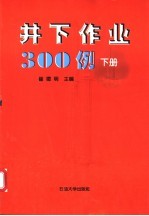 井下作业300例  下