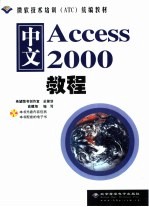 中文Access 2000教程