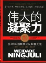 伟大的凝聚力  世界500强精英团队制胜之道