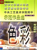 中央工艺美术学院附中示范作品选  色彩