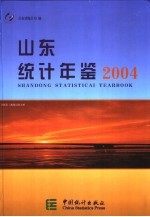 山东统计年鉴  2004  总第16期