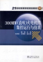 300MW（直吹）火电机组集控运行与仿真