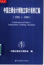 中国注册会计师独立审计准则汇编  1995-1999