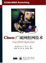 Cisco广域网组网技术