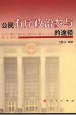 公民有序政治参与的途径