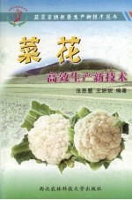 菜花高效生产新技术