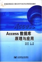 Access数据库原理与应用