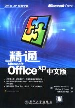 精通Microsoft Office XP中文版