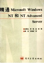 精通Microsoft Windows NT 和NT Advanced server